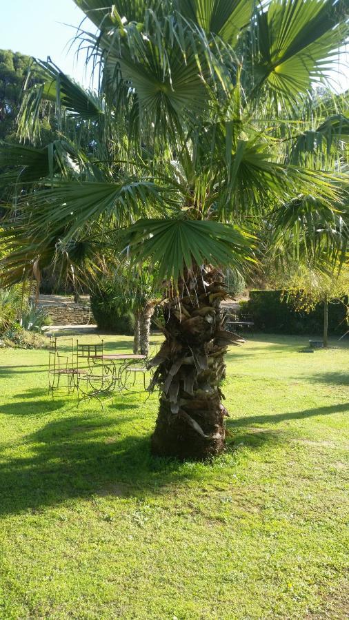 Provence Bed & Breakfast Carpentras Exterior photo